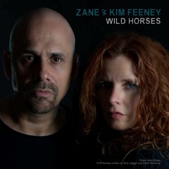 Wild Horses (Rolling Stones Cover)