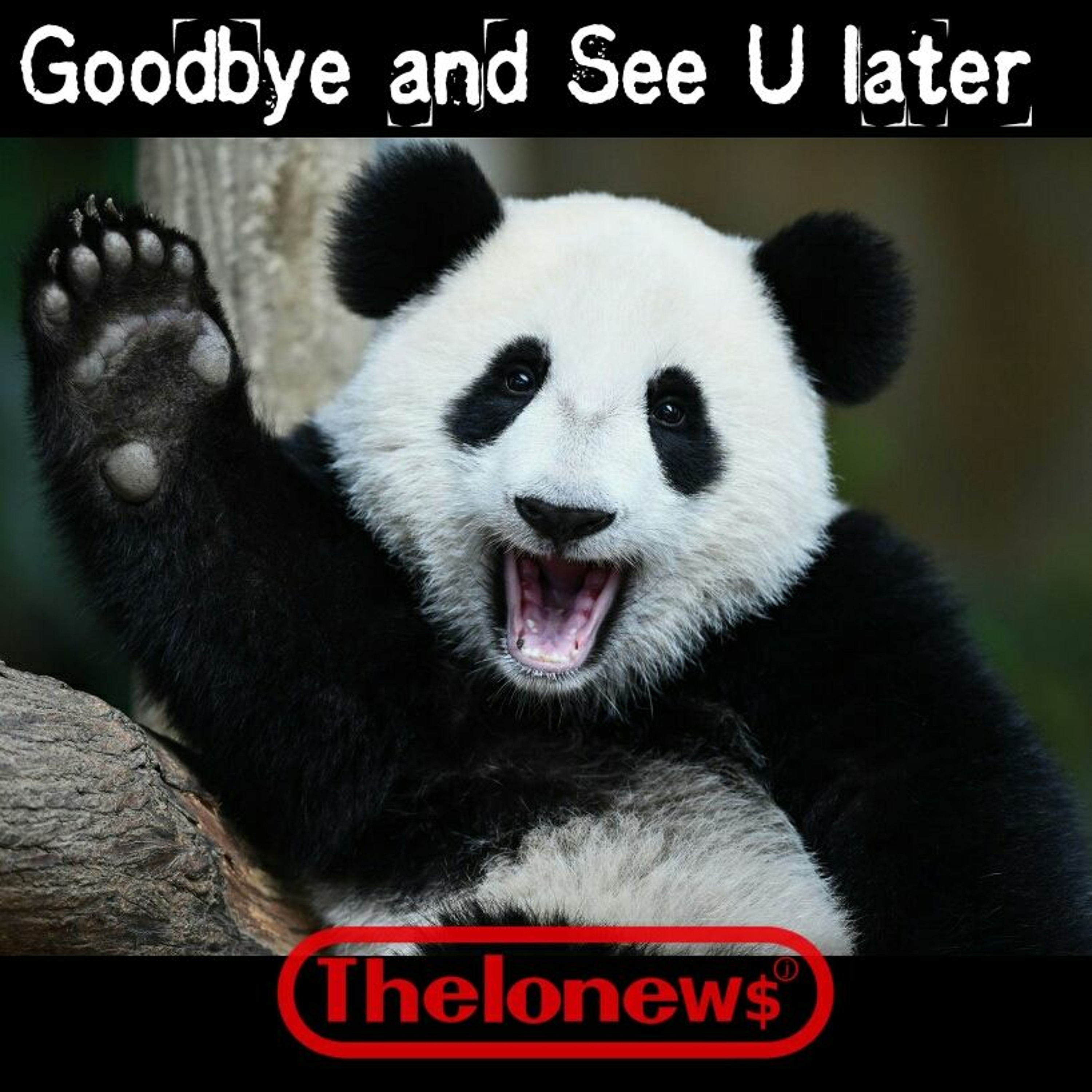 Goodbye and See U later episode artwork