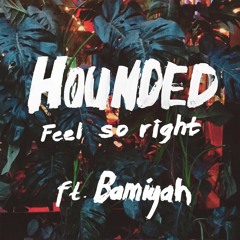 Hounded - Feel So Right (RKIC Remix)