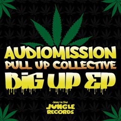 Audiomission & Pull Up Collective - Live & Let Live