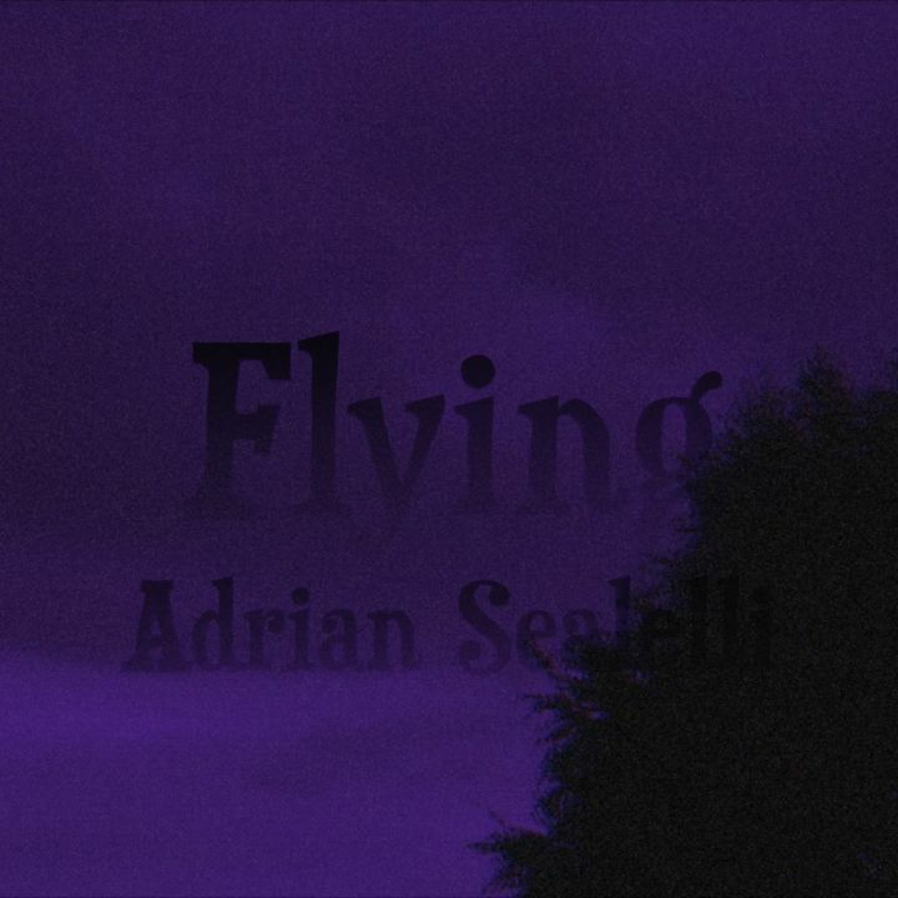 Adrian Sealelli