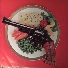 Excitable Boy - Warren Zevon Cover