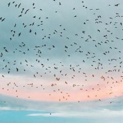 Ebru Gundes - Hayatta Basarilar Diliyorum