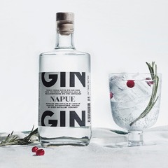 Gin & Tonic's