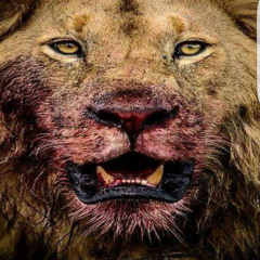 KAY - X - SNAXXX    "WINTER DAZE"