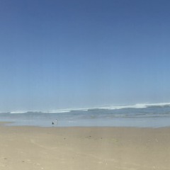 Beach Mutant Massacre demo