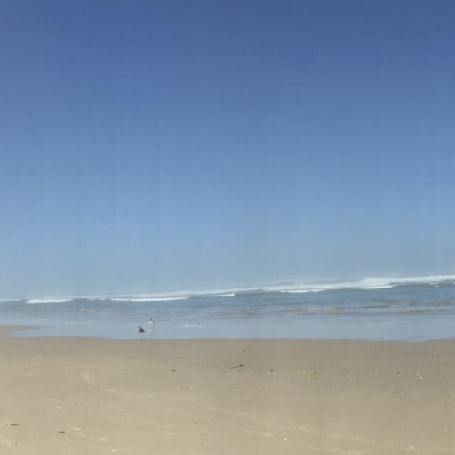 Beach Mutant Massacre demo