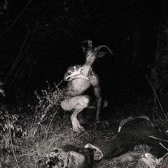 No Name #DISS ft. T (Prod. NiceMeMe$ound)