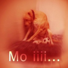 ロストワンの号哭 (lost one no goukoku) เพิ่มเติมคือชอบไข่ขาว