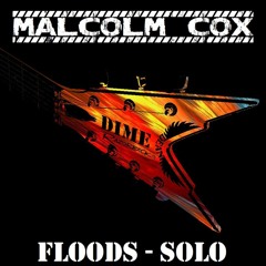 Pantera - Floods (Solo Cover)