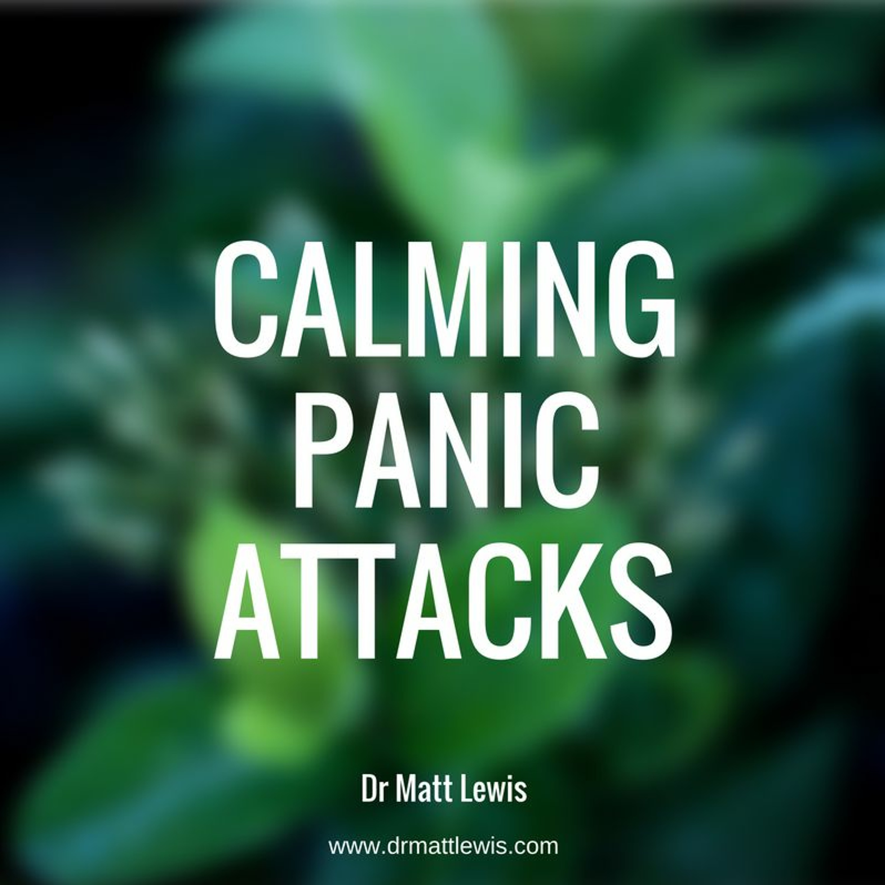 Calming Panic Attacks Audio Exercise episode artwork