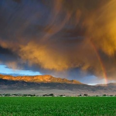 Storms in Africa - Soft Electronic Instrumental (Enya)