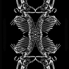 Endoskeleton_Synchromute