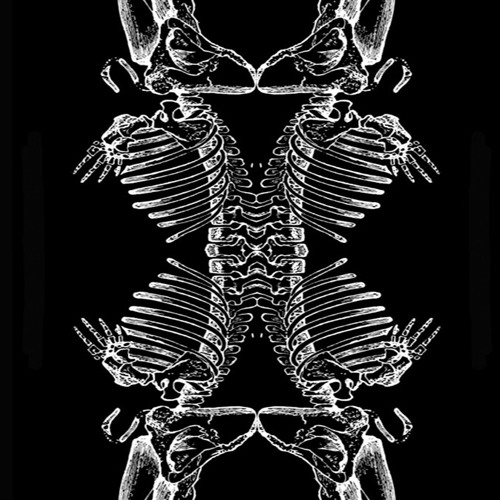 Endoskeleton_Synchromute