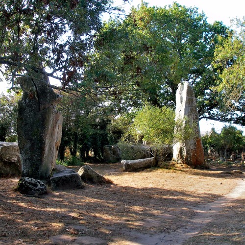 Revaron - Forest Giant