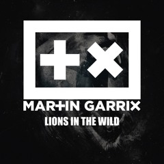 Martin Garrix - Lions In The Wild ( Intro Edit )