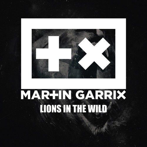 Martin Garrix - Lions In The Wild ( Intro Edit )