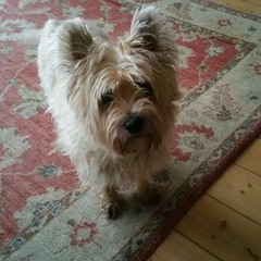 They Weren't There - Missy Higgins Cover