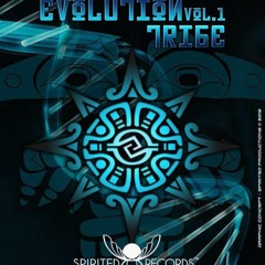 Synergic Warriors - Evolution Tribe VA