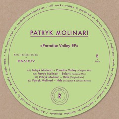 Patryk Molinari - Paradise Valley (Original Mix) released on RITTER BUTZKE STUDIO