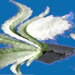 White & Green Blues