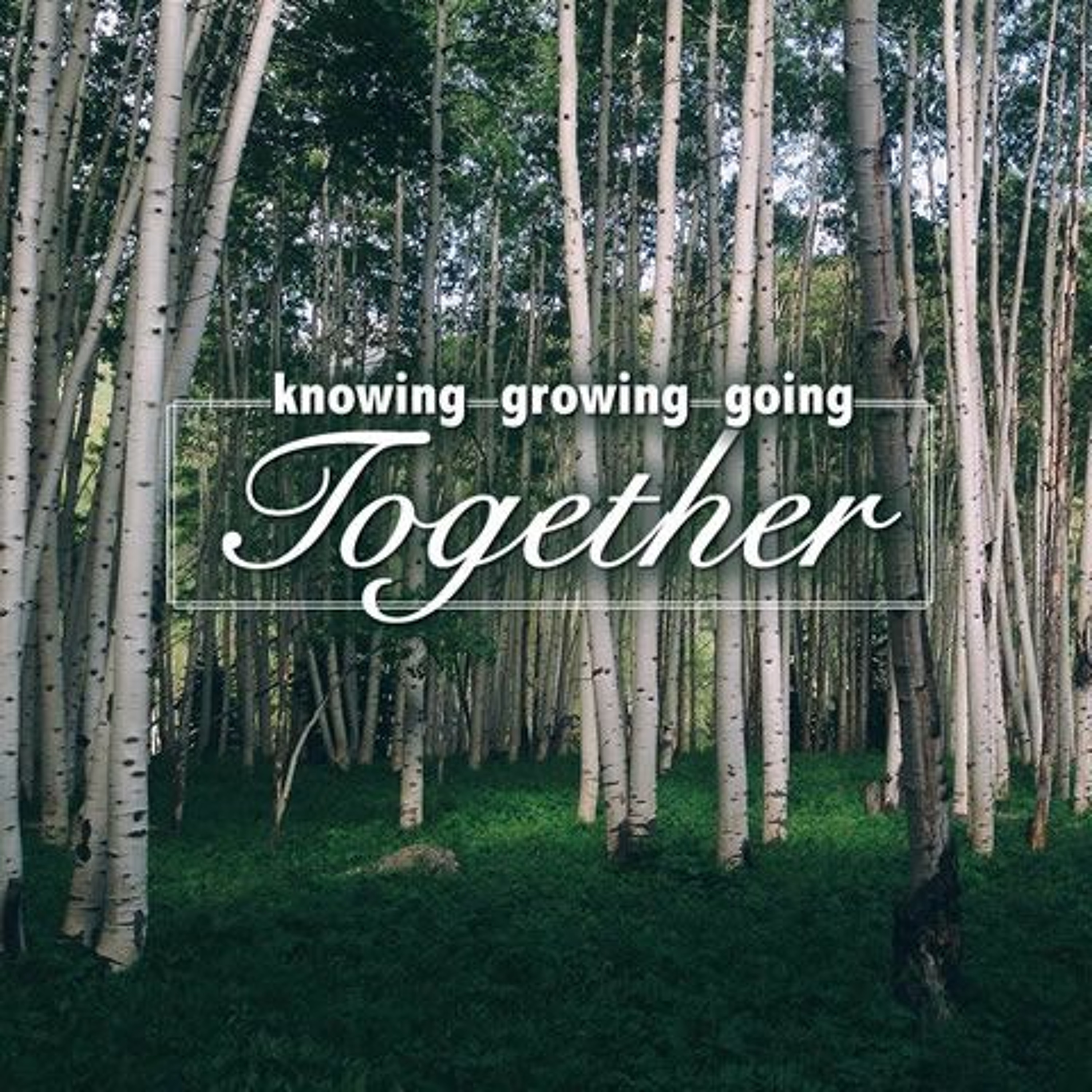 Know.Grow.Go Part 1 (Hebrews 10:19-25 - 9/18/16 - Dan Harty) episode artwork