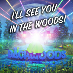 PhuturePhil - Live @ Backwoods Music Festival 2016 - Diskoportal - Friday [9-2-2016]