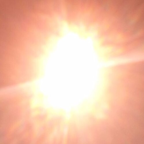 Poly (Demo)