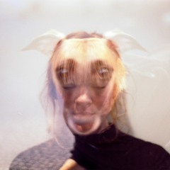 I Wanna Be Your Dog