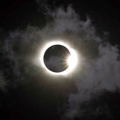 TIGHELLY(ТИГЕЛИ)