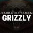 Blaark X THOBY & HOLM - Grizzly (Original Mix)