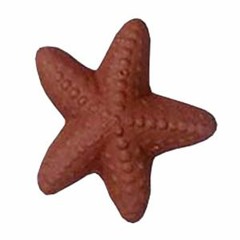 Be A Star