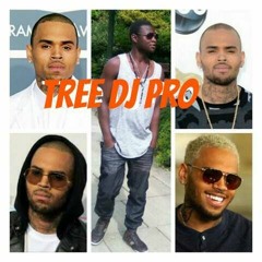 THE BEST OF CHRIS BROWN MIXED BY THREE DJ PRO (1)