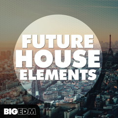 Future House Elements [8 Construction Kits, Melody Loops, Presets & More] #4 Beatport TOP 10!