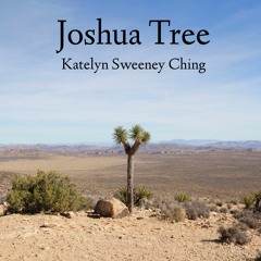 Joshua Tree