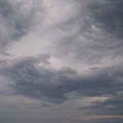 Stormdream