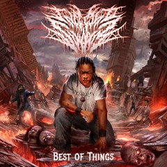 Infected Swarm - Best of Things (XZibit cover)