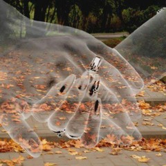 a u t u m n   s a d n e s s