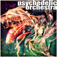 Microcosmic EP