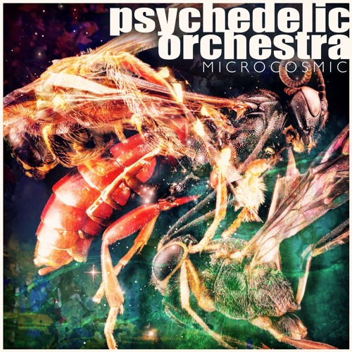 Microcosmic EP