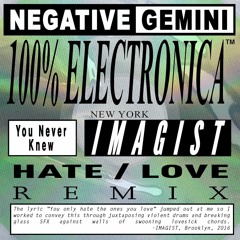 Negative Gemini - You Never Knew (IMAGIST Hate/Love Remix)