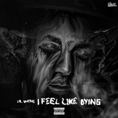 I Feel Like Dying - Lil Wayne