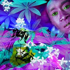 Stntz