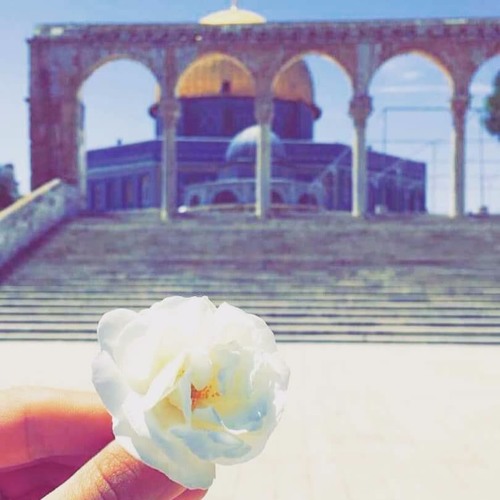 Stream صوت جميل جدا راحه قرأن By نـــهــاد زيـــاد Listen Online For Free On Soundcloud