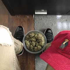 Pandasaurous Rexington (Instrumental by Tom Misch)