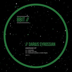Darius Syrossian - What you Say