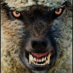 MACHT DER LÄMMER - ANDY RUEPP