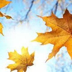 KruK - Der Herbst Ist Der Frühling Des Winters