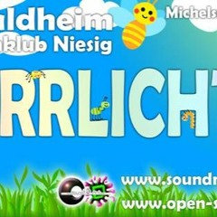 Irrlichter-2016-Mainfloor-Closingset@Dr_Duck-the-Gentleman