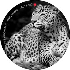 Boriqua Tribez - Splash
